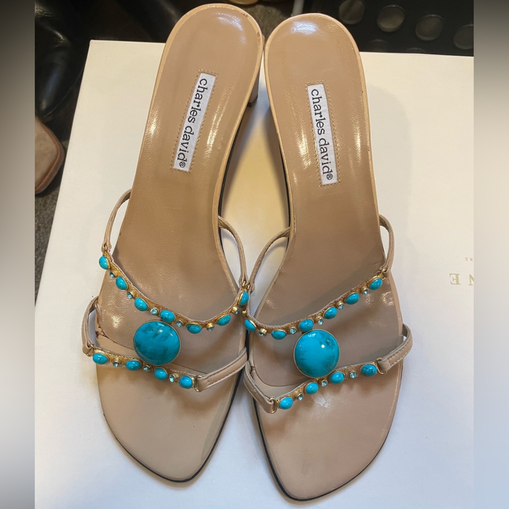 Charles David Tan and Blue Women's Heels